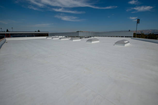 Best Roof Moss and Algae Removal  in Paramount Long Meadow, MD