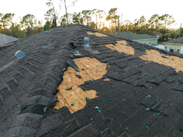 Best Green or Eco-Friendly Roofing Solutions  in Paramount Long Meadow, MD
